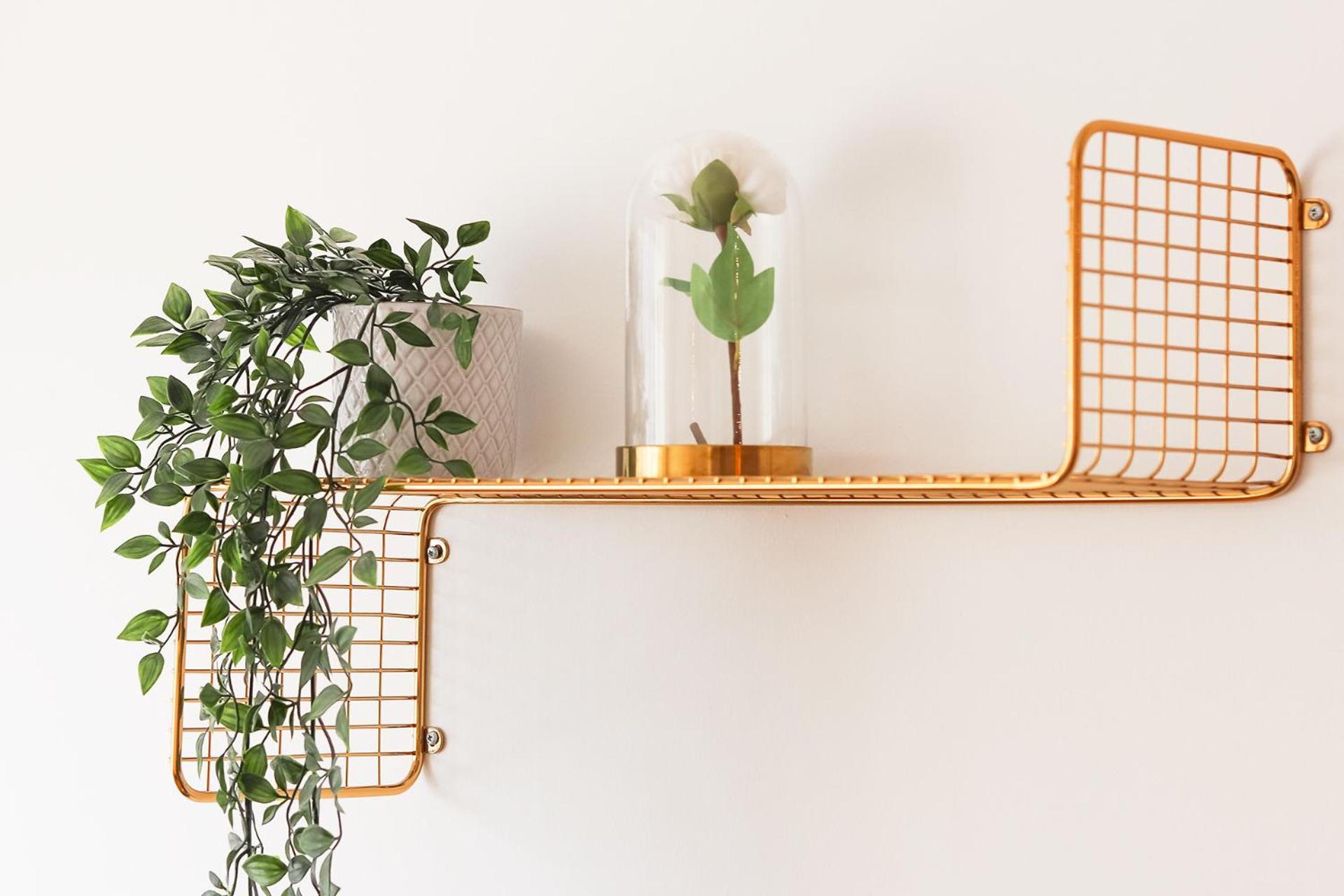 Apartament Laranjeiras Design By Homing Lizbona Zewnętrze zdjęcie
